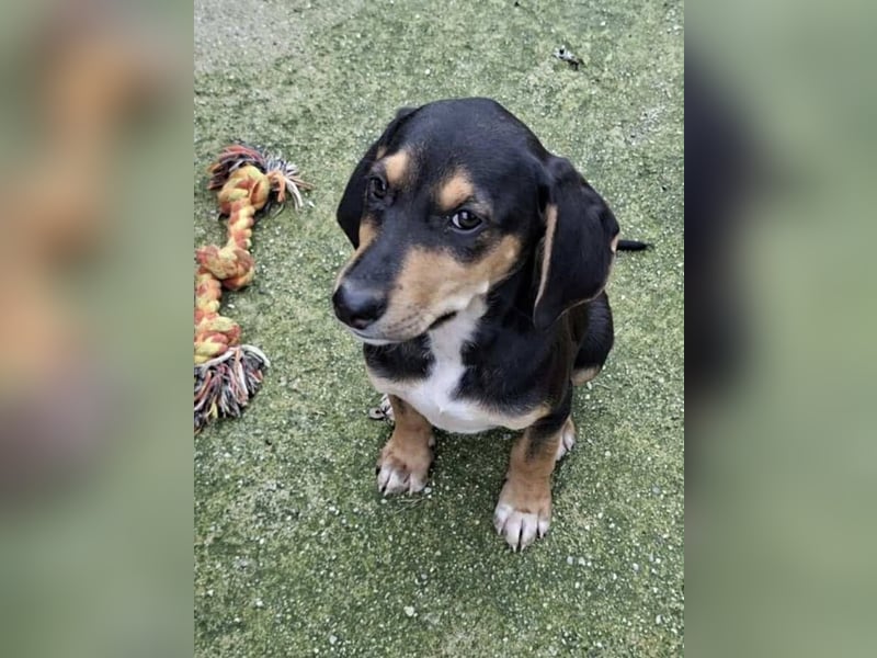 Ayko  möchte bald nach Hause kommen