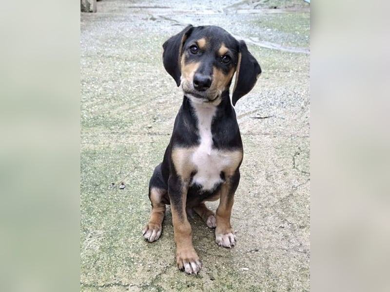 Ayko  möchte bald nach Hause kommen