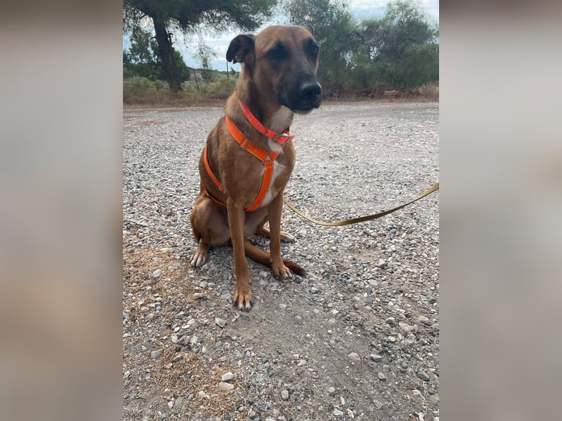 Sadie sucht die Menschen, die sie nicht mehr alleine lassen