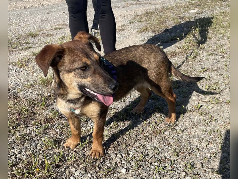 Dottie möchte ein warmes Körbchen haben