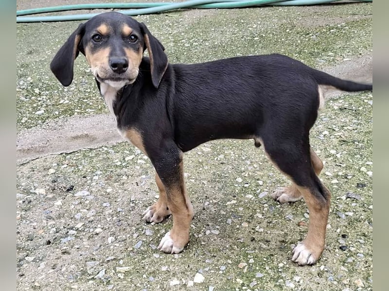 Ayko  möchte bald nach Hause kommen