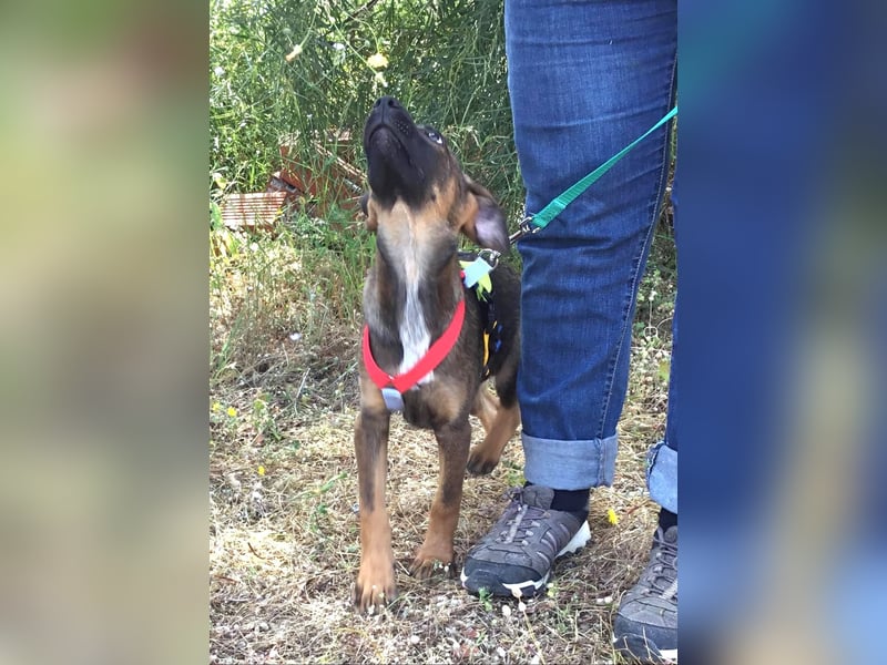 Jackson wünscht sich auch eine eigene Familie