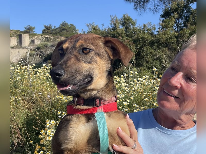 Dottie möchte ein warmes Körbchen haben