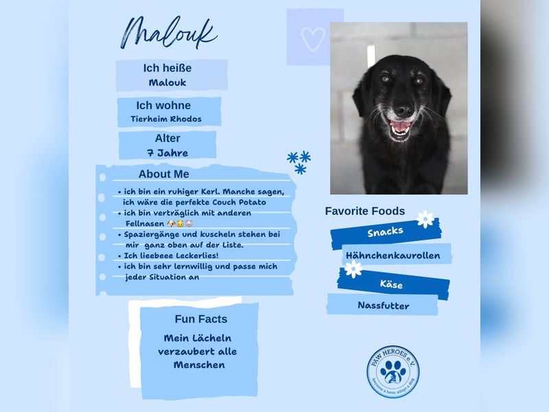Grinsebacke MALOUK sucht eine eigene Familie