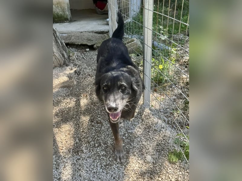 Grinsebacke MALOUK sucht eine eigene Familie