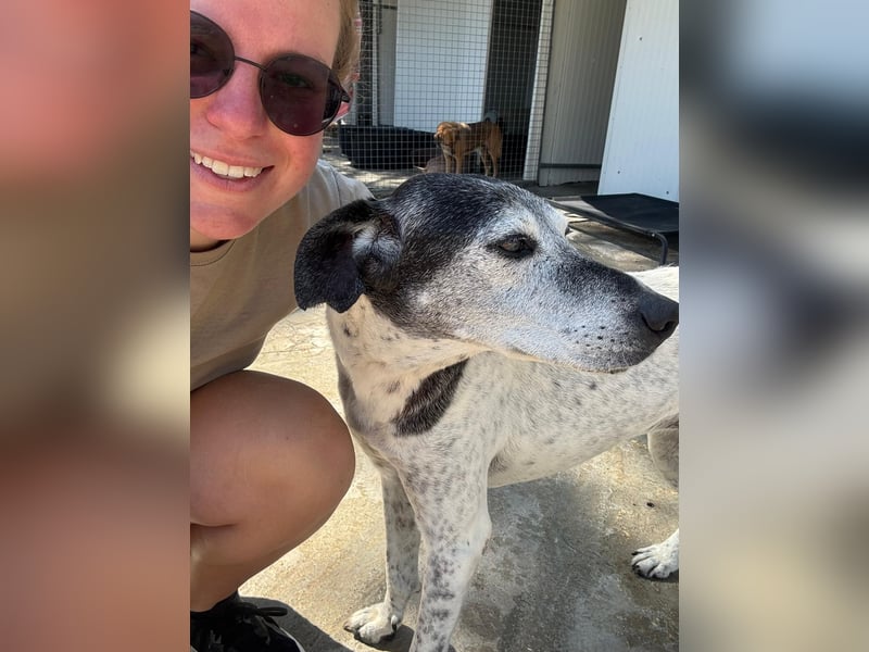 Hundeomi ALICE möchte endlich ein eigenes Zuhause finden!