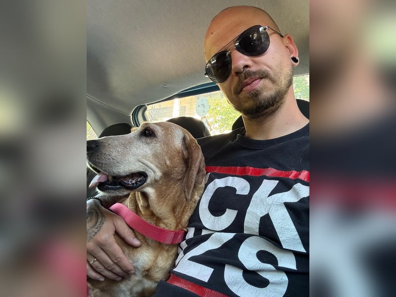 Wundervolle alte Hundedame MAGGIE sucht eine Familie oder Endpflegestelle
