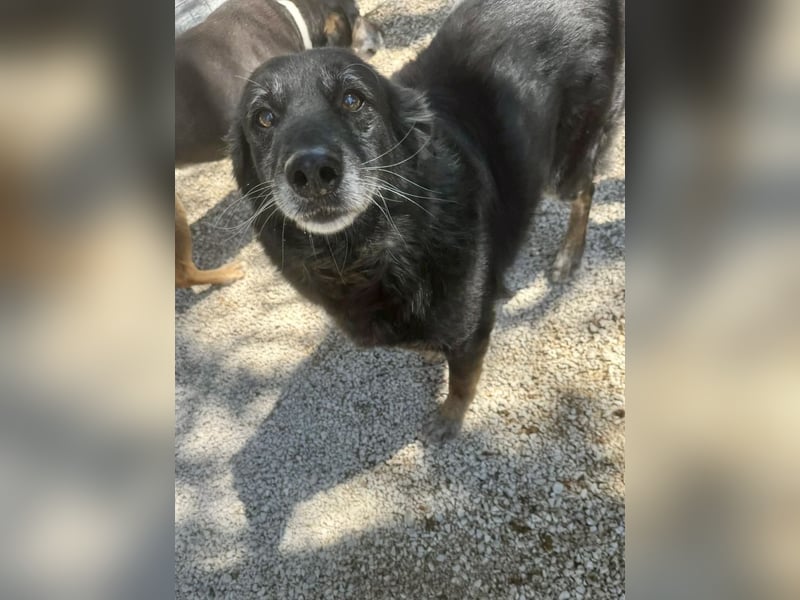 Grinsebacke MALOUK sucht eine eigene Familie
