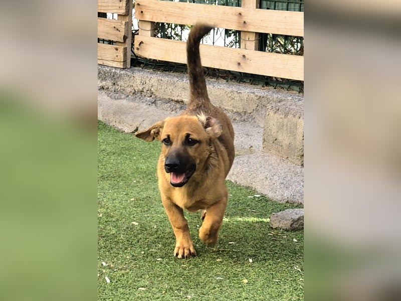 Zira