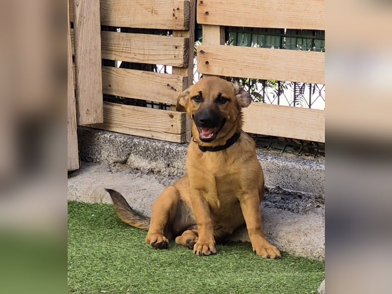 Zira