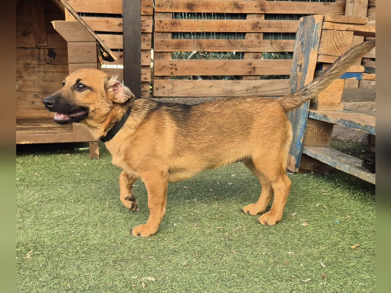 Zira