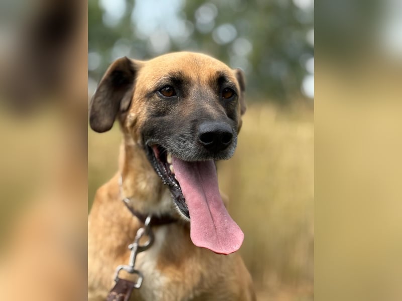 Petrokhan - offen und verschmust