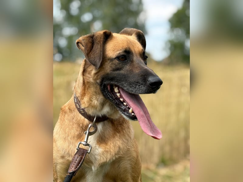 Petrokhan - offen und verschmust