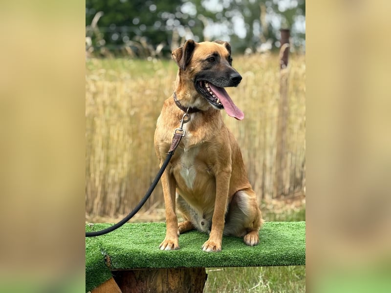 Petrokhan - offen und verschmust