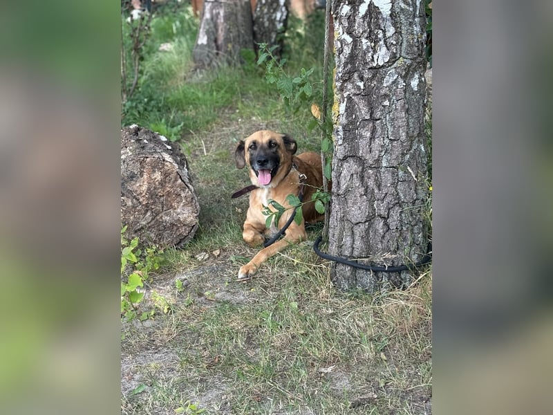 Petrokhan - offen und verschmust