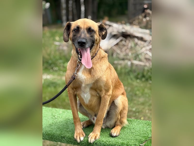 Petrokhan - offen und verschmust