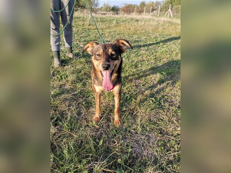 Shuri, sucht eine liebevolle Familie