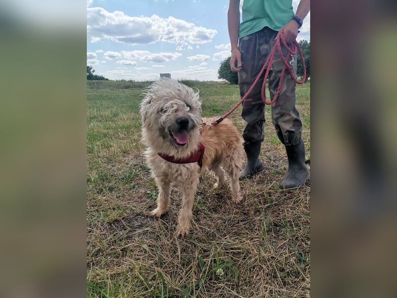 Ziggy wartet genau auf DIch