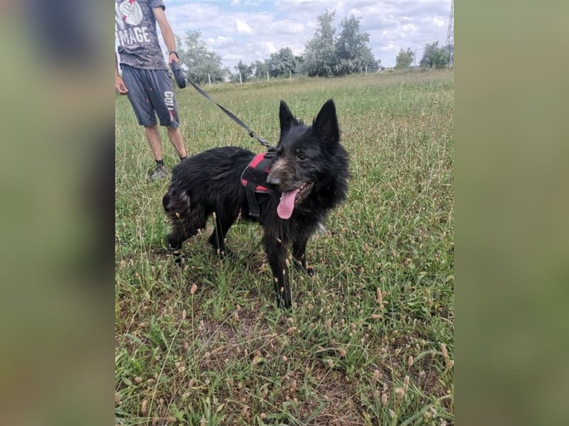 Marci, lieber Schatz,an hatte keine Verwendung mehr für ihn