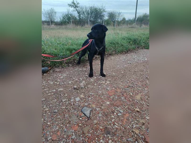 Gangsta, schüchtern aber lieb