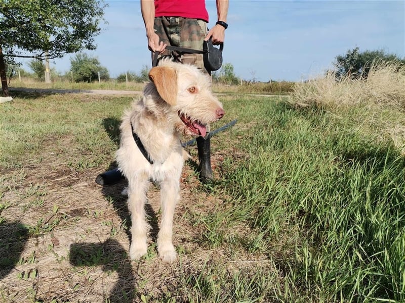 Kökény, hat sein Köfferchen schon gepackt