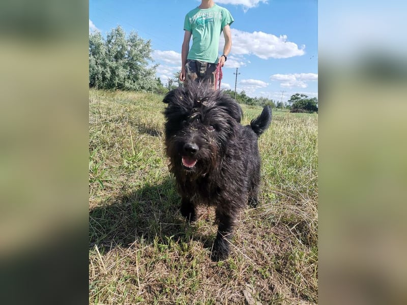 Ziczac wartet genau auf DIch