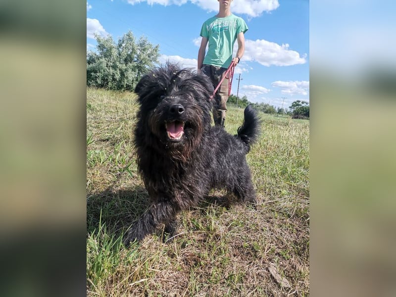 Ziczac wartet genau auf DIch