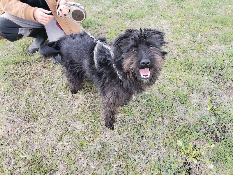 Ziczac wartet genau auf DIch