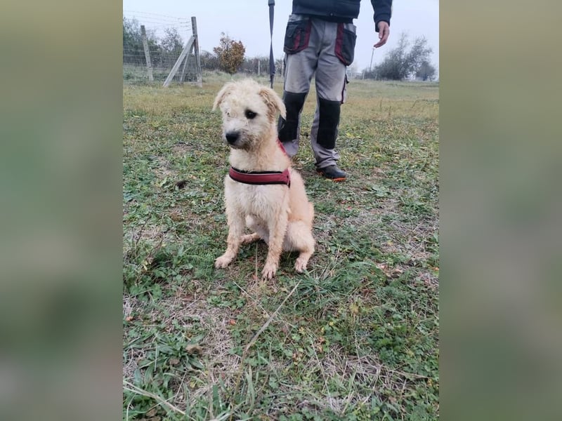 Ziggy wartet genau auf DIch