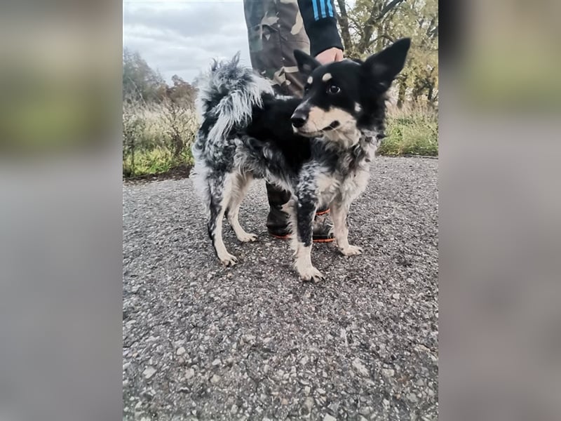 Döme, wartet mit gepackten Köfferchen auf dich
