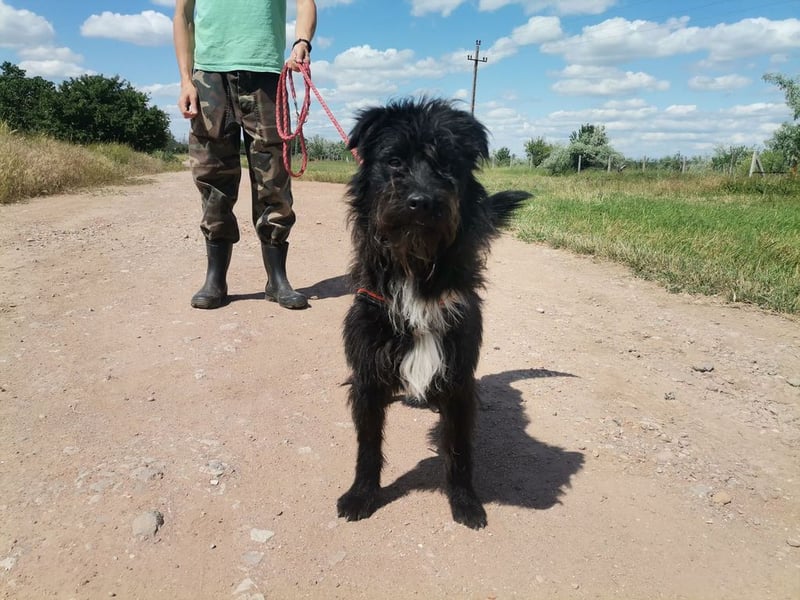 Zola wartet genau auf DIch