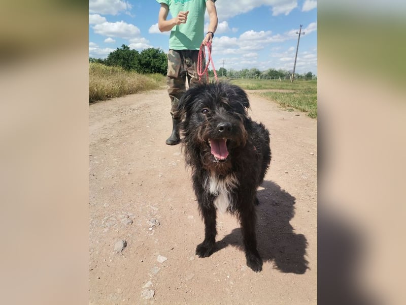 Zola wartet genau auf DIch