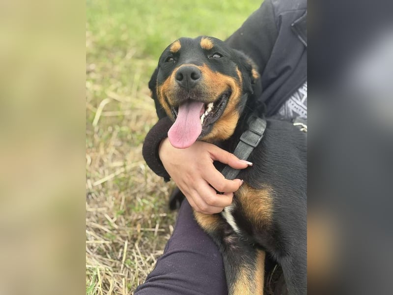 Kannst Du Dolly Sicherheit geben?