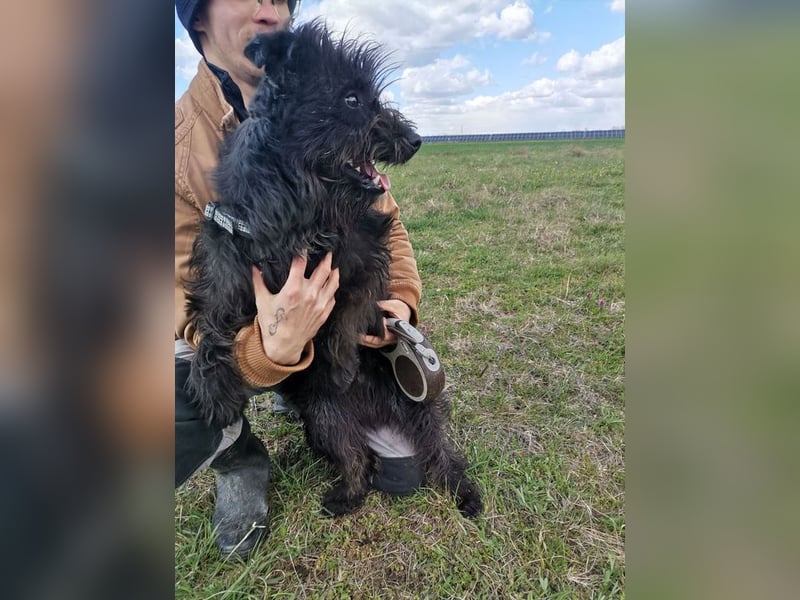 Ziczac wartet genau auf DIch