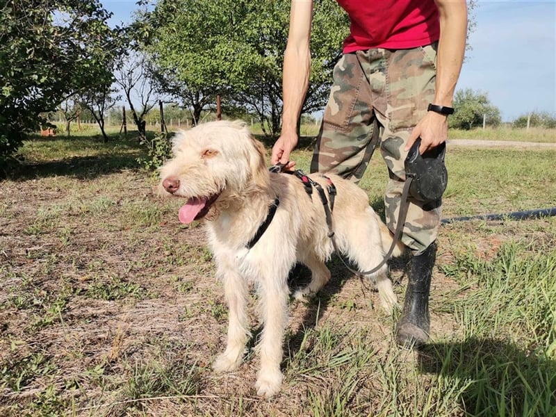 Kökény, hat sein Köfferchen schon gepackt