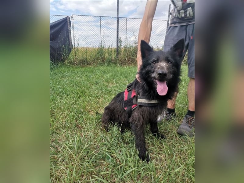 Marci, lieber Schatz,an hatte keine Verwendung mehr für ihn