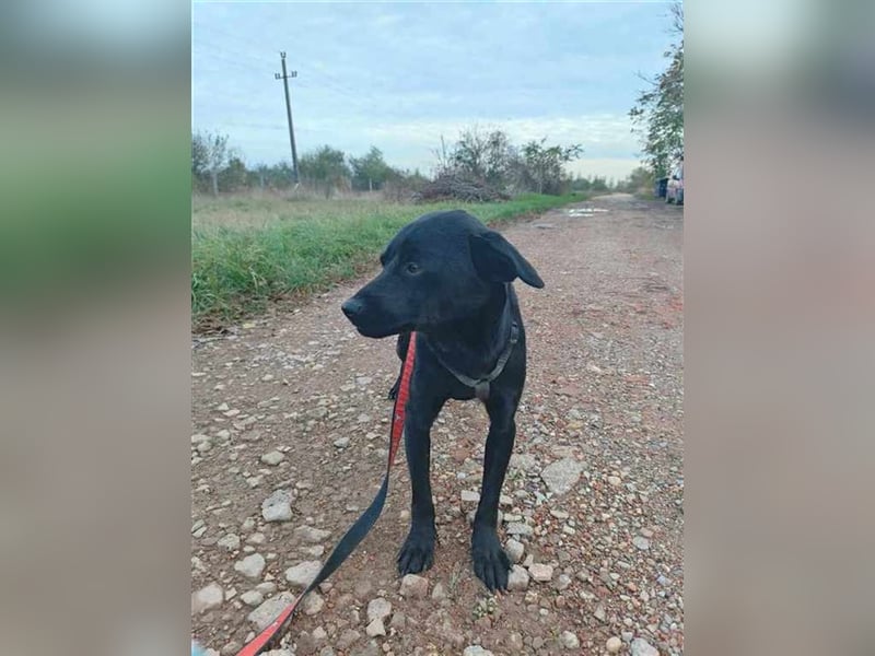 Gangsta, schüchtern aber lieb