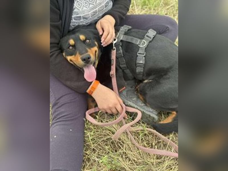 Kannst Du Dolly Sicherheit geben?