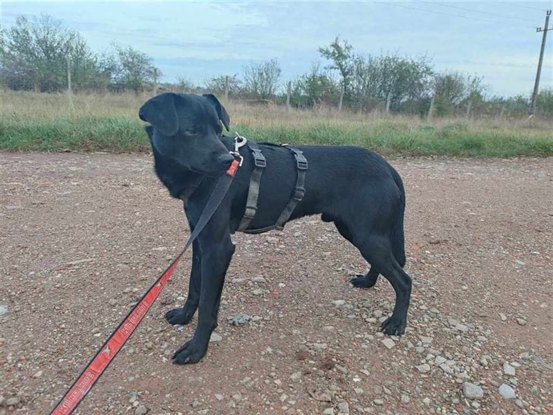 Gangsta, schüchtern aber lieb