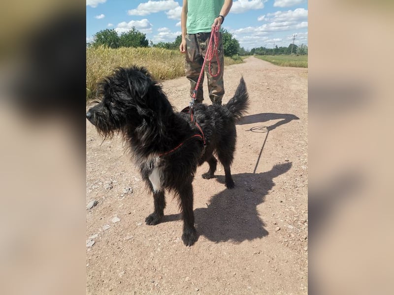 Zola wartet genau auf DIch