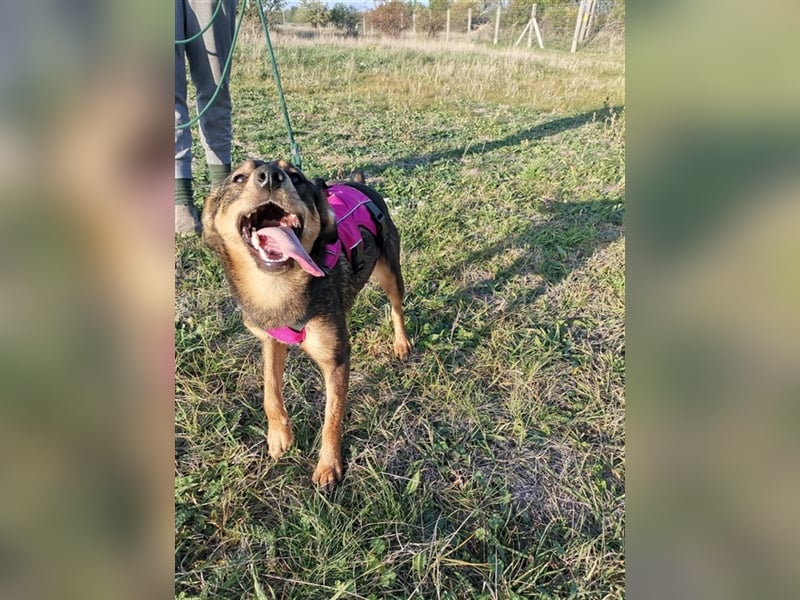 Shuri, sucht eine liebevolle Familie
