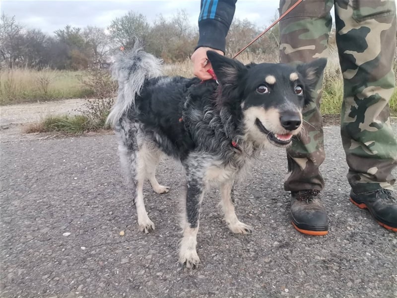 Döme, wartet mit gepackten Köfferchen auf dich
