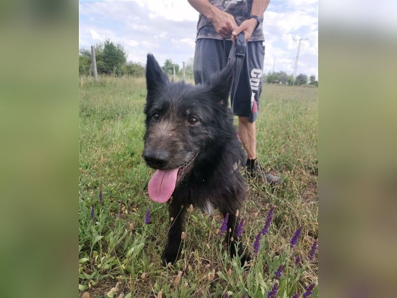 Marci, lieber Schatz,an hatte keine Verwendung mehr für ihn