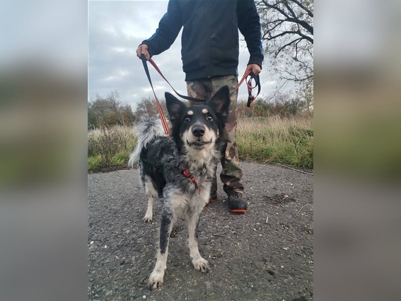 Döme, wartet mit gepackten Köfferchen auf dich