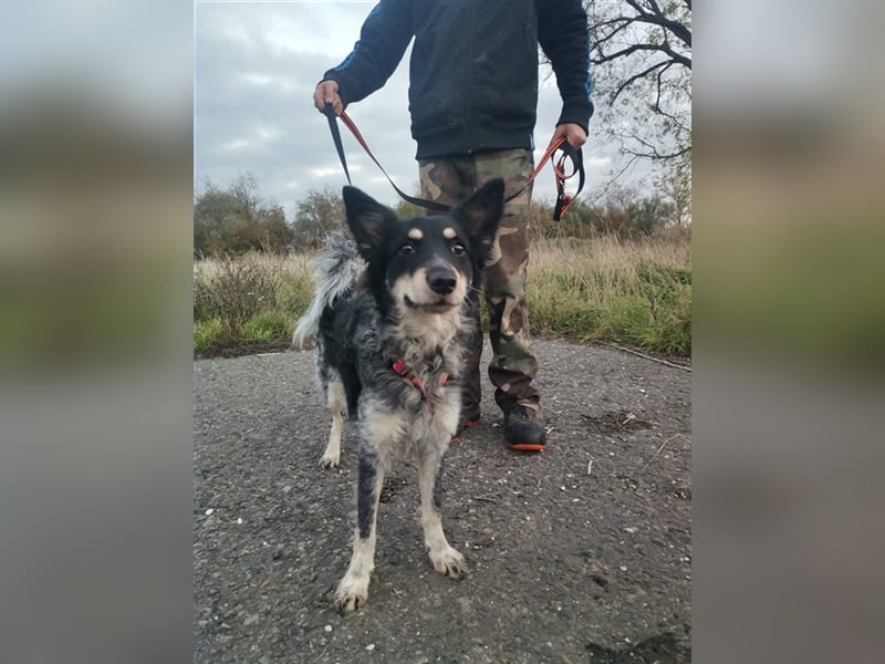 Döme, wartet mit gepackten Köfferchen auf dich