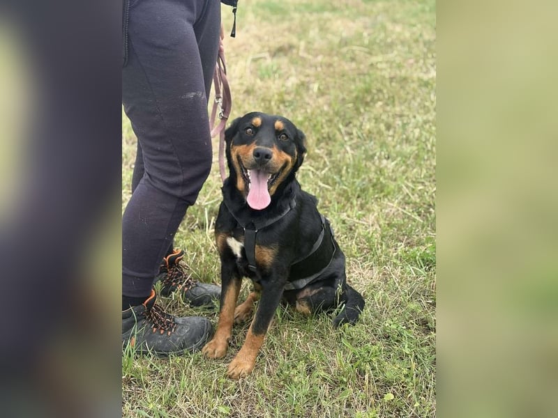 Kannst Du Dolly Sicherheit geben?