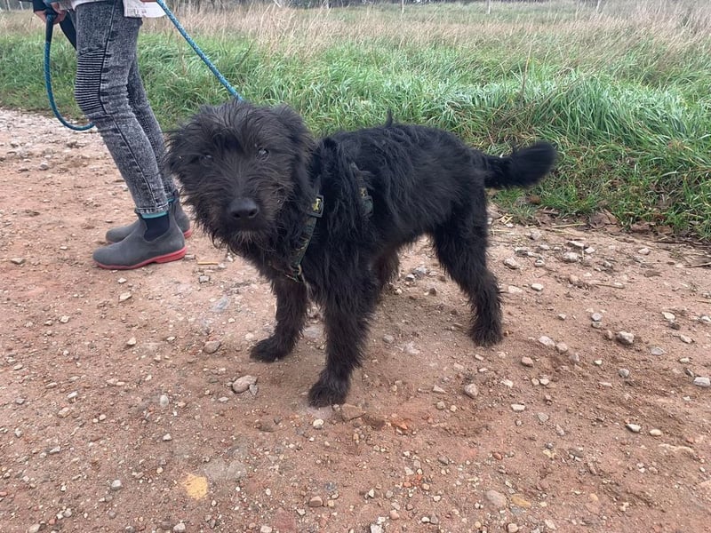 Ziczac wartet genau auf DIch