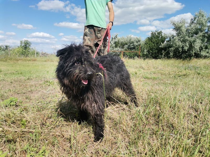 Ziczac wartet genau auf DIch