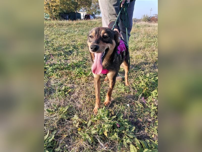 Shuri, sucht eine liebevolle Familie