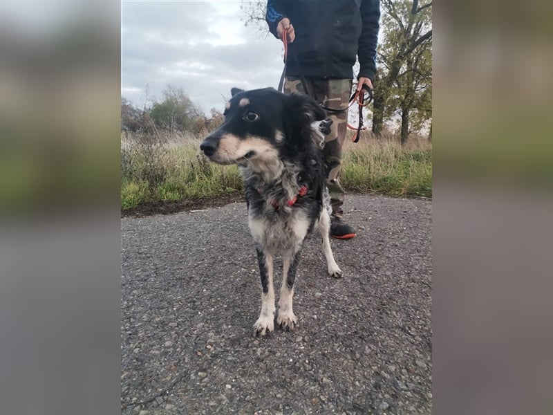 Döme, wartet mit gepackten Köfferchen auf dich